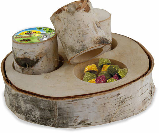 JR FARM Train the Brain Forest 1 Stück 3 Kupin Haaste - Kanin ja jyrsijän herkut - 4024344169427 - 1