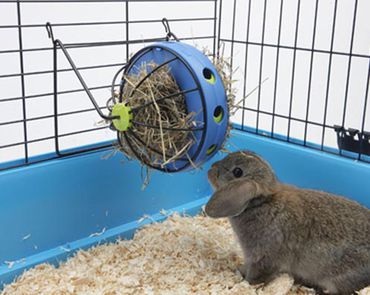 Savic Hay & Snack Dispenser heinäteline - Kanin ja jyrsijöiden lelut ja aktivointi - 5411388001957 - 1