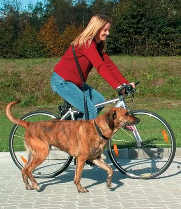 Trixie Juoksuhihna - Hiihto- ja juoksuvyöt ja hihnat - 4011905012827 - 1