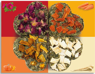 Jr. Farm Onnen-nelikko 60g - Kanin ja jyrsijän herkut - 4024344214738 - 2