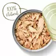 Applaws Tonnikala & Katkarapu kissan märkäruoka 70g - Märkäruokatölkit - 5060122490078 - 4