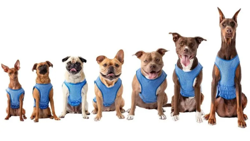 IceVest Viilennysliivi Jäähdytysliivi koiralle - Uima-altaat ja viilennys - 824348308228 - 1