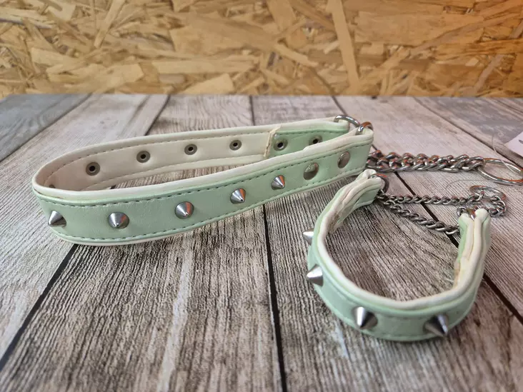 Koiratar puolikiristävä niittinahkapanta vaaleanvihreä - Koiran puolikiristävät pannat - KOIRATARV28 - 1