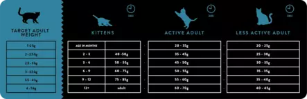 Celtic Salmon with Herring & Trout Lohi Silli Taimen kissankuivaruoka - Kissan erikoiskuivaruoat - 5425038502619 - 2