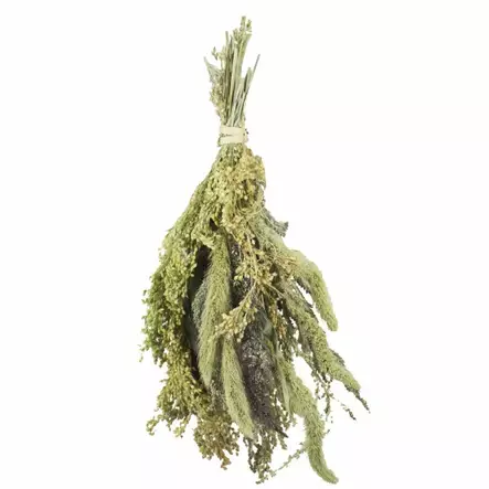 Jr. Farm Millet Potpourri - Lintujen ruoka ja herkut - 4024344178269 - 2