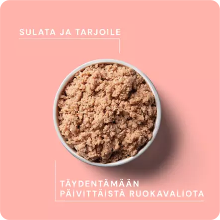 RAUH! Nutriment Lohi Salmon täydennysravinto kissoille ja koirille - Muut koiran raakaruoat - 6410180002109 - 2