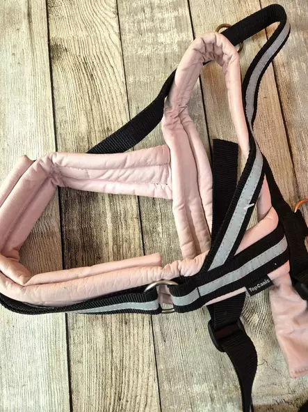 TopCanis Nahkasäätövaljas - Koiranvaljaat OUTLET - 6430013551659 - 2