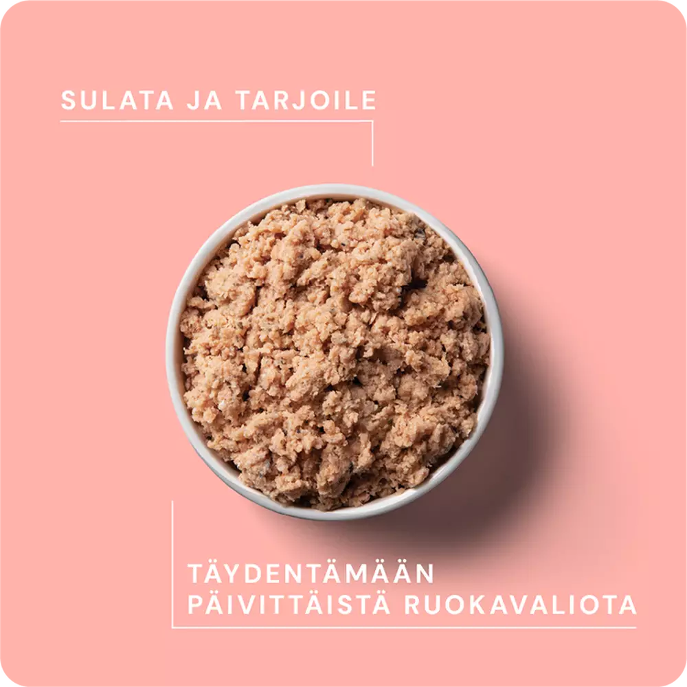 RAUH! Nutriment Lohi Salmon täydennysravinto kissoille ja koirille