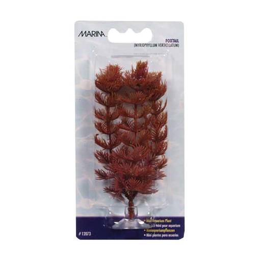 Marina Foxtail koristekasvi Akvaarioon - Akvaariokoristeet - 015561120739 - 1