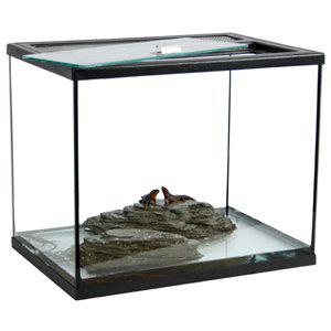 TERRARIUM TOPP Lasinen Terraario 40x28x35CM - Terraariot ja kuljetusboksit - 7350004258529 - 1