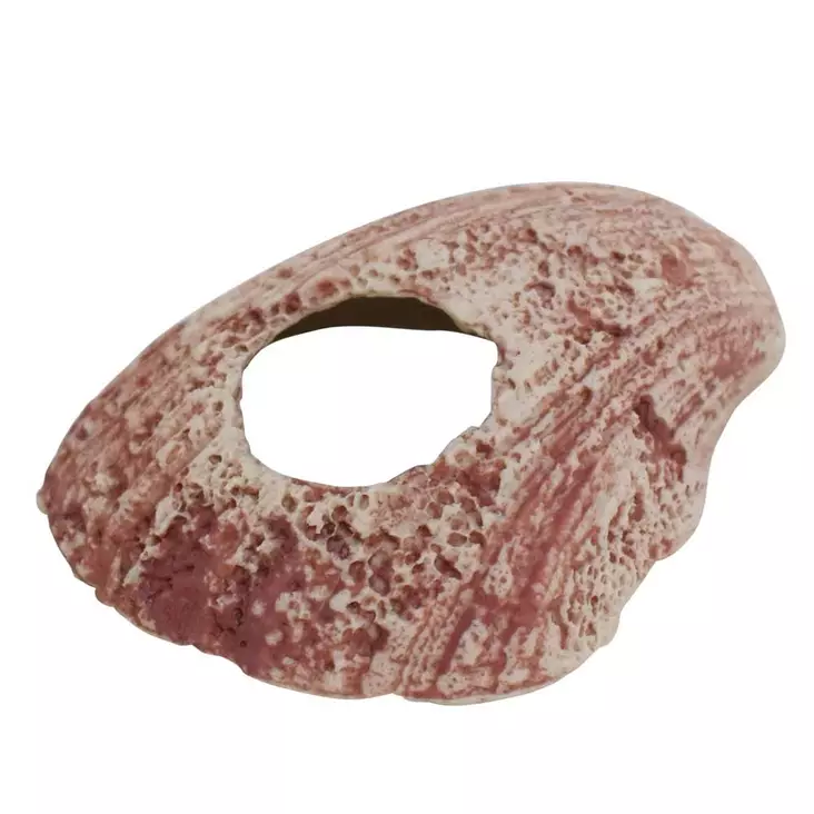 Aqua Ornaments Nobby Shell 28729 akvaariokoriste - Akvaariokoristeet - 4033766287299 - 1