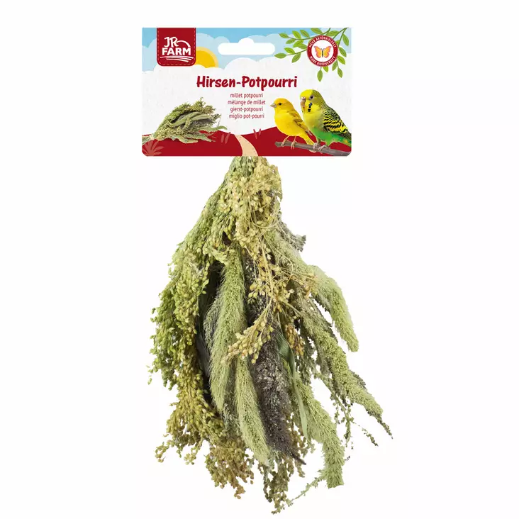 Jr. Farm Millet Potpourri - Lintujen ruoka ja herkut - 4024344178269 - 1