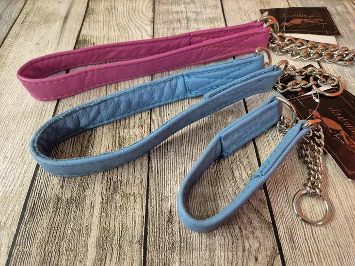 Puolikiristävä sininen panta koiralle - Koiran puolikiristävät pannat - 6430033290019 - 1