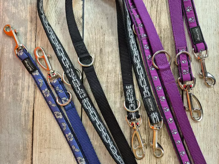 Red Dingo koulutustalutin - Koiran muut hihnat - 9330725007949 - 1