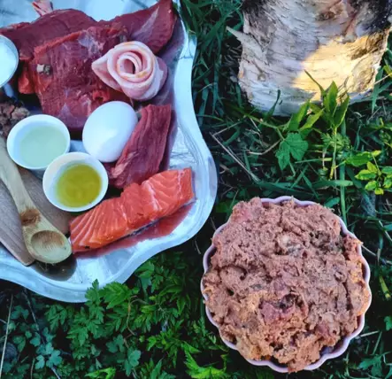 Huippu Aktiivi 800g - Muut koiran raakaruoat - HUIPPUAKTIIVI - 1