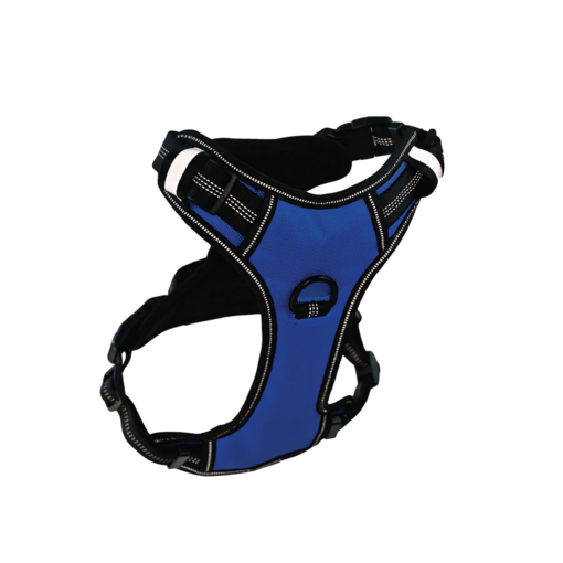 Lemmibox Koiran Valjaat - LemmiBox koirien valjaat - LEMMISO - 1