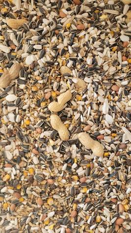 Siemenseos - Lintujen ruoka ja herkut - SIEMENSEOS - 1