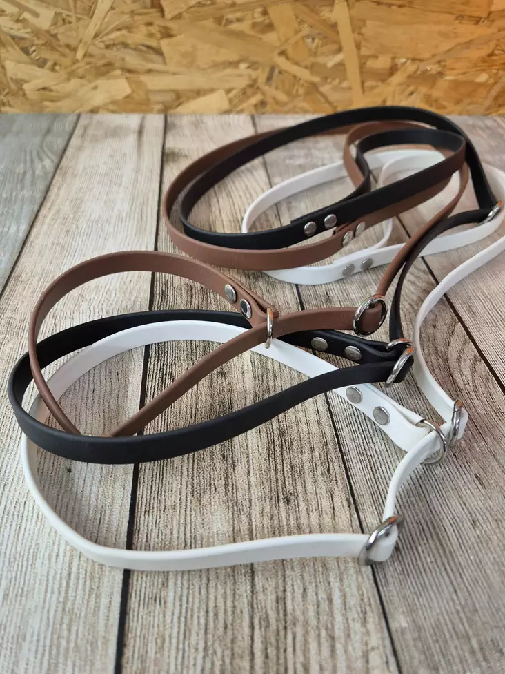 Biothane Näyttelytalutin - Koiran näyttelyhihnat - BIOTHANENTV - 1