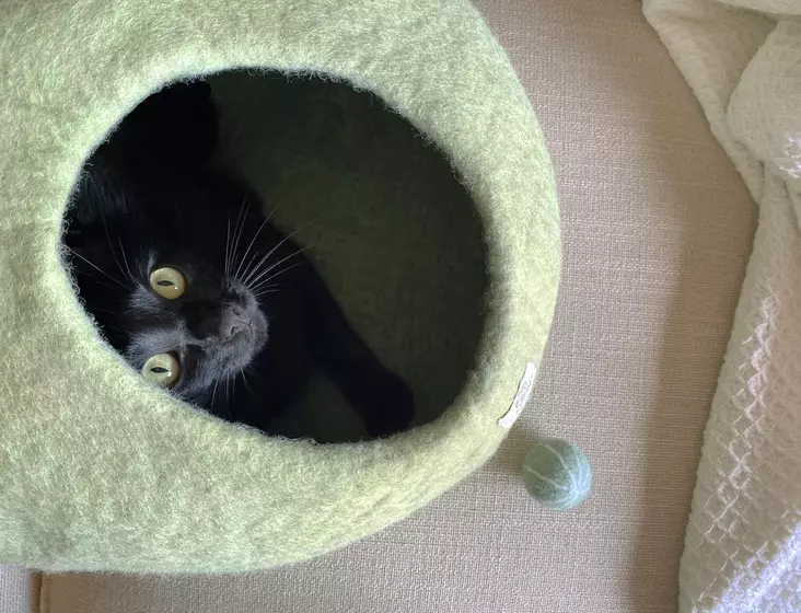 Mishum Lacova Vihreä Luolapeti kissapeti - Kissan pedit - LACOVAV - 1